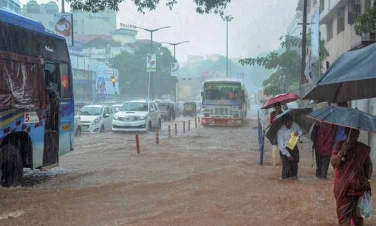 ರೆಡ್‌ ಅಲರ್ಟ್‌; ಶಿವಮೊಗ್ಗ ಜಿಲ್ಲಾದ್ಯಂತ ಪದವಿ ಕಾಲೇಜುವರೆಗೆ ರಜೆ