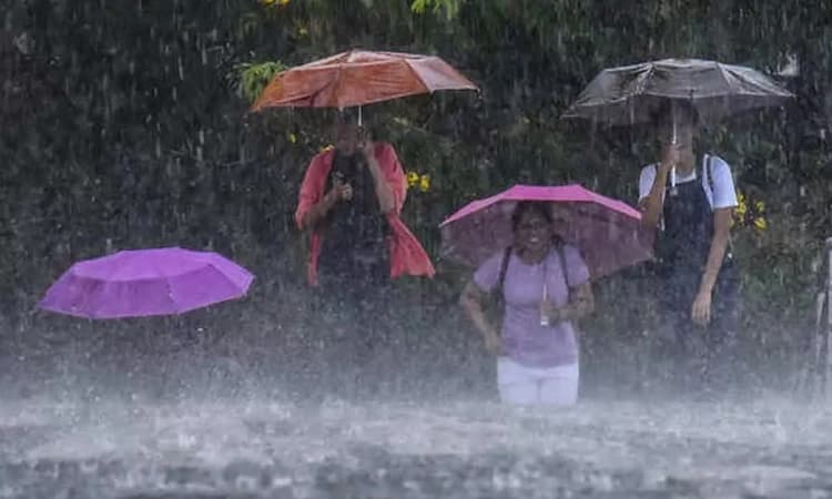 Heavy Rain: ಆ.19ರಂದು ಬೆಳಗಾವಿ, ಚಿಕ್ಕಮಗಳೂರು ಜಿಲ್ಲೆಯ ಕೆಲ ತಾಲೂಕಿನ ಶಾಲೆಗಳಿಗೆ ರಜೆ