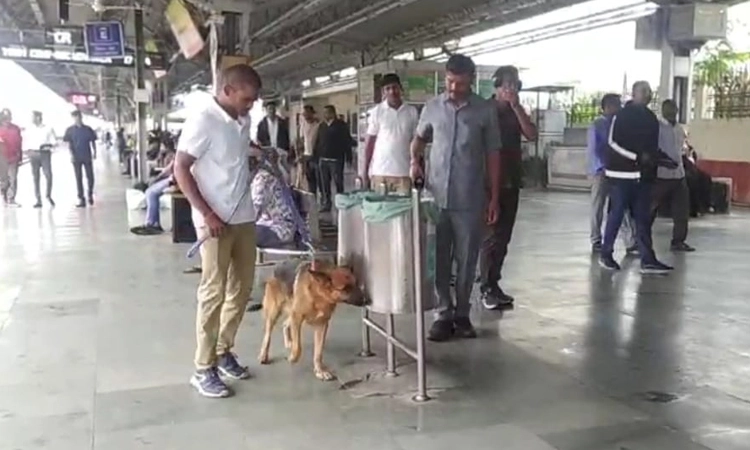 Kalaburagi: ಕಲಬುರಗಿ ರೈಲ್ವೆ ಸ್ಟೇಷನ್ ಗೆ ಬಾಂಬ್ ಬೆದರಿಕೆ; ತಪಾಸಣೆ
