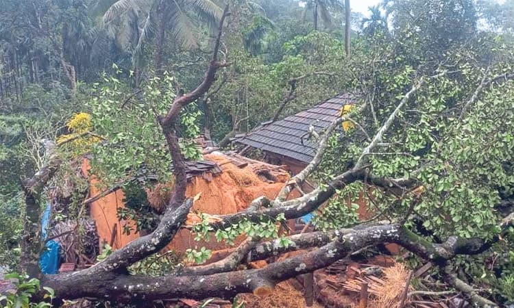 ಎಡಮಂಗಲ:  ಬಿರುಗಾಳಿಗೆ ಅಪಾರ ಹಾನಿ