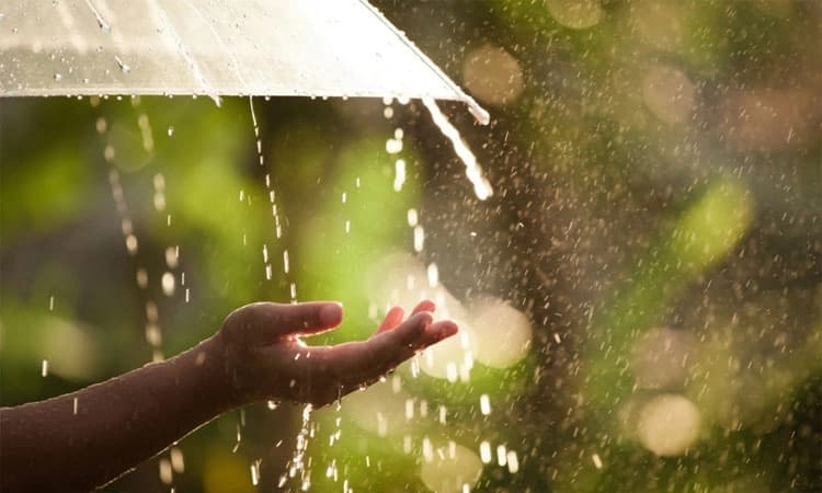 Rain; ದಕ್ಷಿಣ ಕನ್ನಡ,ಉಡುಪಿ ಜಿಲ್ಲೆಯಲ್ಲಿ ಸಾಧಾರಣ ಮಳೆ