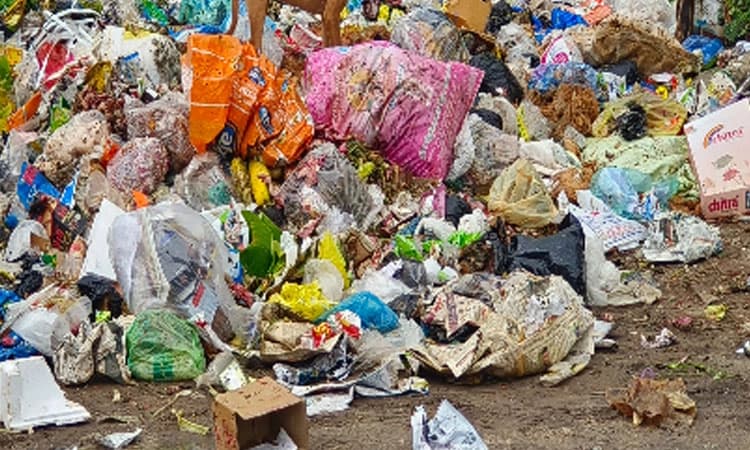 Kasaragod: ತ್ಯಾಜ್ಯ ಎಸೆಯುವವರ ವಿರುದ್ಧ ದೊಡ್ಡ ಮೊತ್ತದ ದಂಡಾಸ್ತ್ರ