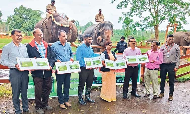 Madikeri: ವಿಶ್ವ ಆನೆ ದಿನ ಪ್ರಯುಕ್ತ ವಿಶೇಷ ಅಂಚೆ ಲಕೋಟೆ ಬಿಡುಗಡೆ