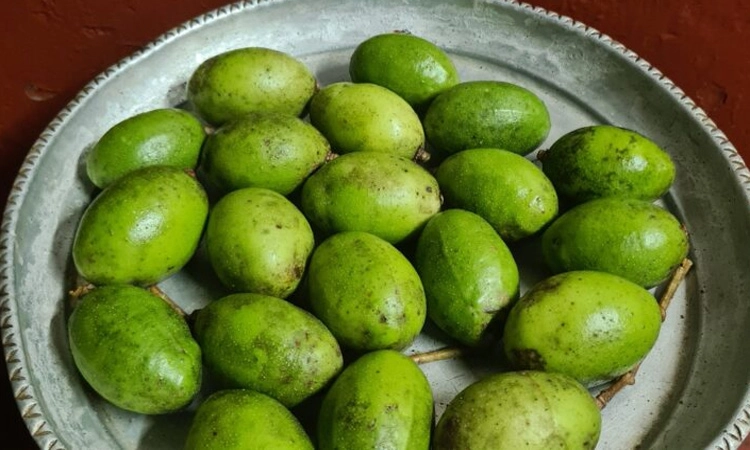 ಕೆಸುವಿನ ದಂಟು-ಅಂಬಟೆ ಮೆಣಸ್ಕಾಯಿ, ಮಜ್ಜಿಗೆ ಹುಳಿ: ಹಲವು ಔಷಧೀಯ ಉಪಯೋಗ