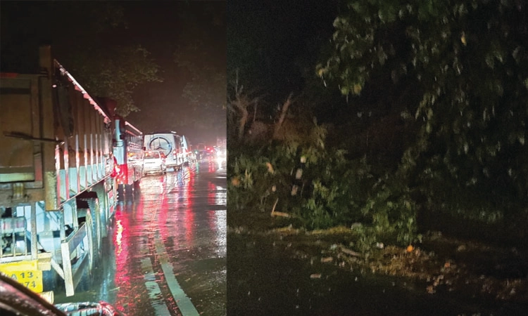 Sakleshpura:ಶಿರಾಡಿಘಾಟ್ ರಸ್ತೆಯಲ್ಲಿ ಭಾರಿ ಮಳೆಗೆ ಭೂಕುಸಿತ; ವಾಹನ ಸಂಚಾರ ಸಂಪೂರ್ಣ ಸ್ಥಗಿತ