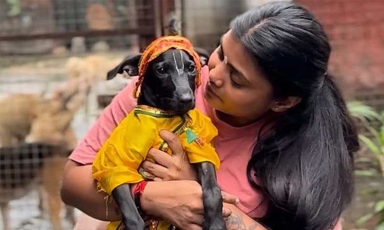 ಬೀದಿ ನಾಯಿಗಳೊಂದಿಗೆ ಕೃಷ್ಣ ಜನ್ಮಾಷ್ಟಮಿಯನ್ನು ಆಚರಿಸಿಕೊಂಡ ಮಹಿಳೆ; ವಿಡಿಯೋ ವೈರಲ್