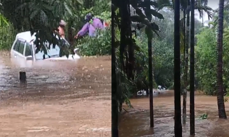 Belthangady: ತೋಟತ್ತಾಡಿ ಸಮೀಪ ಉಕ್ಕಿ ಹರಿದ ಹಳ್ಳ; ಹಗ್ಗ ಕಟ್ಟಿ ಕಾರು ರಕ್ಷಣೆ