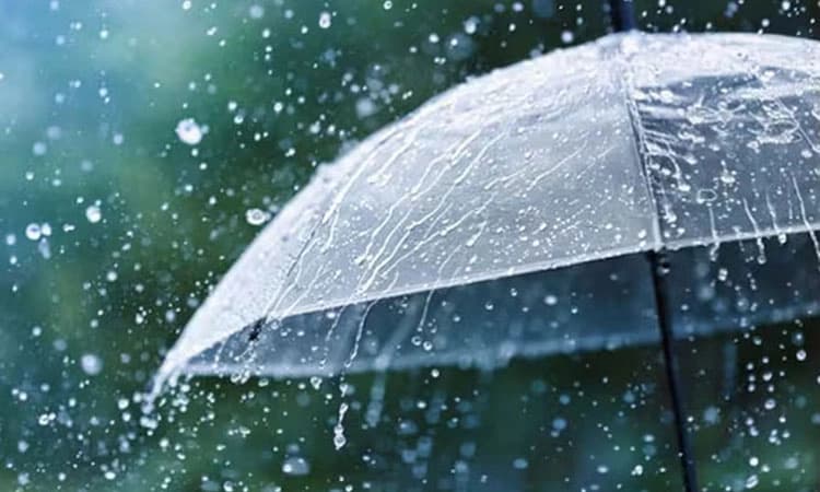 Heavy Rain: ದಕ್ಷಿಣ ಕನ್ನಡ ಜಿಲ್ಲೆಯಾದ್ಯಂತ ಬಿರುಸಿನ ಮಳೆ