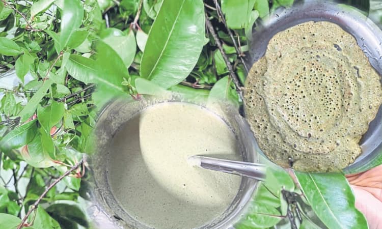 ನೀವು ಕೊಡ್ಸನ ಬಳ್ಳಿಯ ದೋಸೆ, ಇಡ್ಲಿ ತಿಂದಿದ್ದೀರಾ?