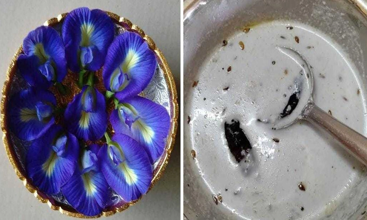 ಪೋಷಕರಿಗೆ ಮಾಹಿತಿ: ಮಕ್ಕಳ ಆರೋಗ್ಯಕ್ಕಾಗಿ ವ್ಯಸ್ಥ ಜೀವನ-ಸ್ವಸ್ಥ ಭೋಜನ!