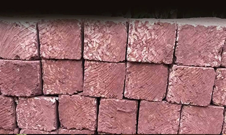 Bantwal: ಅಕ್ರಮ ಕೆಂಪು ಕಲ್ಲುಗಣಿಗಾರಿಕೆ; ಪ್ರಕರಣ ದಾಖಲು