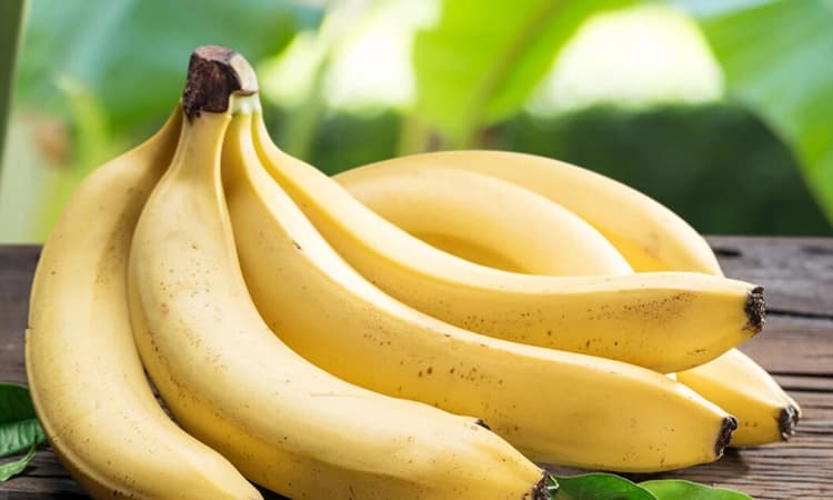 Banana: ಬಾಳೆಹಣ್ಣುಗಳನ್ನು ದೀರ್ಘಕಾಲ ತಾಜಾವಾಗಿ ಸಂಗ್ರಹಿಸಿಡಲು ಇಲ್ಲಿದೆ ಸುಲಭ ಉಪಾಯ