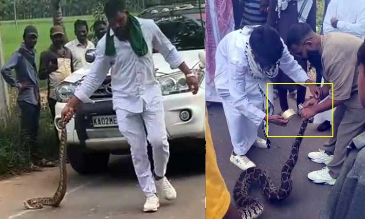 Shivamogga: ಹಾವುಗಳ ಬಾಯಿಗೆ ಪ್ಲಾಸ್ಟರ್ ಸುತ್ತಿ ಹಿಂಸಾತ್ಮಕವಾಗಿ ವರ್ತನೆ... ದೂರು ದಾಖಲು