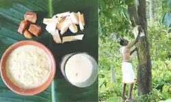 ನಾಳೆ ಆಟಿ ಅಮಾವಾಸ್ಯೆ: ಕಷಾಯ ಕುಡಿಯುವ ದಿನ ಬಂತು!