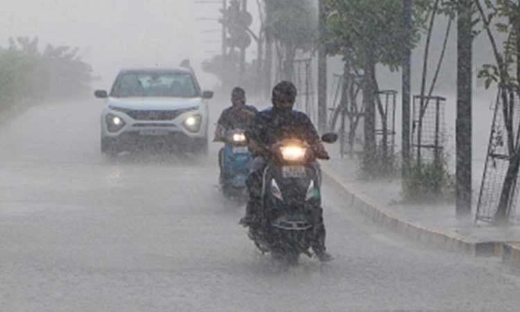 Madikeri: ಭಾರೀ ಮಳೆ ಸಾಧ್ಯತೆ... ಆಗಸ್ಟ್ 19 ರಂದು ಕೊಡಗು ಜಿಲ್ಲೆಯ ಶಾಲಾ ಕಾಲೇಜುಗಳಿಗೆ ರಜೆ