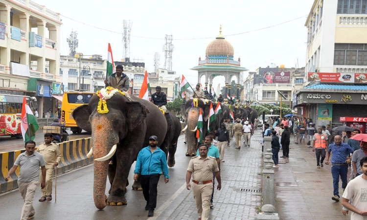 ಮೈಸೂರು ದಸರಾ ಜಂಬೂಸವಾರಿ: 11ಸಾವಿರಕ್ಕೂ ಹೆಚ್ಚು ಆಸನ ಕಡಿತ
