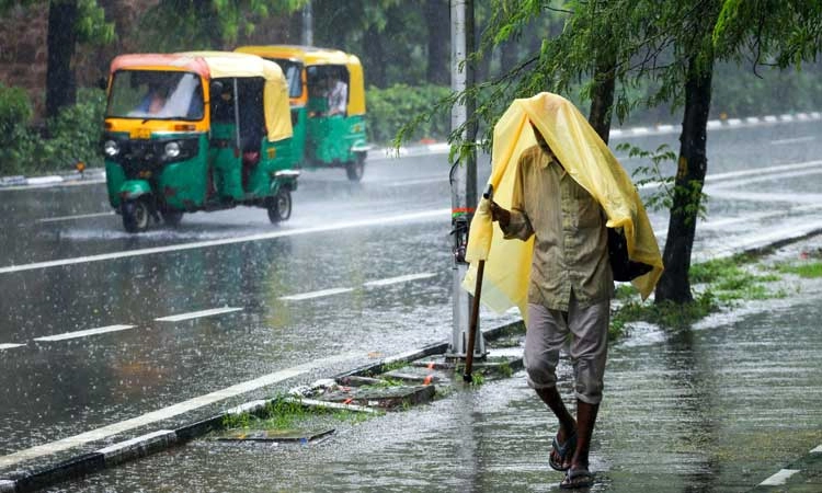 Gadag: ಧಾರಾಕಾರ ಮಳೆ: ಆ.19 ರಂದು ಗದಗ ಜಿಲ್ಲೆಯ ಶಾಲಾ ಕಾಲೇಜುಗಳಿಗೆ ರಜೆ