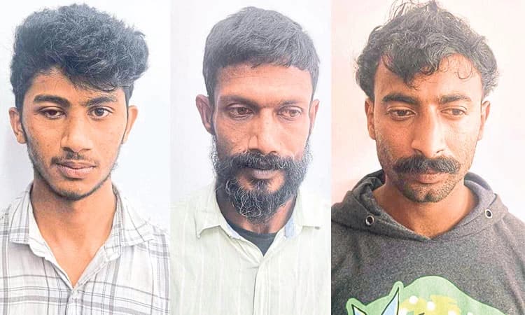 ಮಡಿಕೇರಿ: ಮೂವರು ದನ ಕಳ್ಳರ ಬಂಧನ