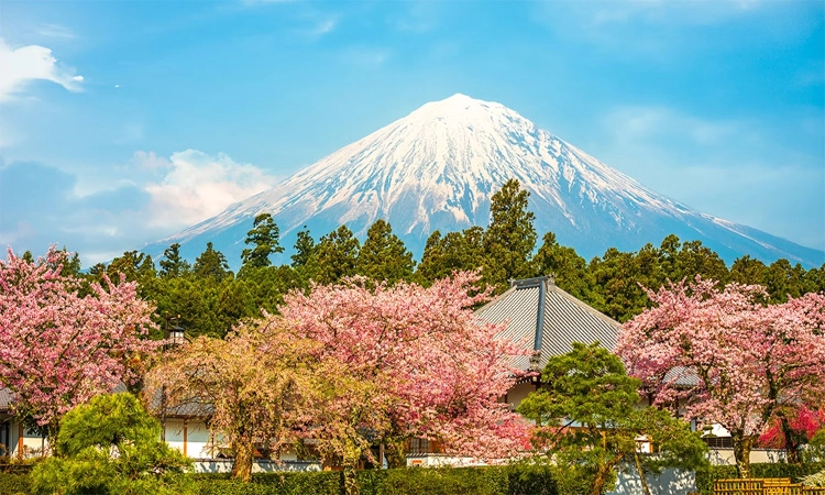 Mount Fuji: ಜಪಾನ್‌ನಲ್ಲಿನ ಚಾರಣದ ಹೆಜ್ಜೆಗಳು: ಮೌಂಟ್‌ ಫೂಜಿ ಎಂಬ ಧೀಮಂತ