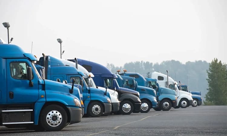 ವಿದೇಶಿ ಟ್ರಕ್‌ ಚಾಲಕರಿಗೆ ಇನ್ನು ಉದ್ಯೋಗ ವೀಸಾ ಇಲ್ಲ: ಅಮೆರಿಕ