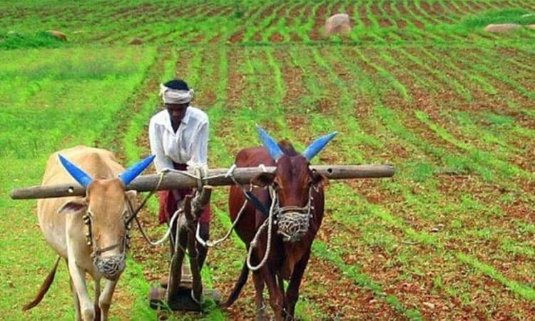 ಕಿಸಾನ್‌ ಸಂಪದ ಅನುದಾನ ಹೆಚ್ಚಳಕ್ಕೆ ಸಂಪುಟ ಅನುಮತಿ