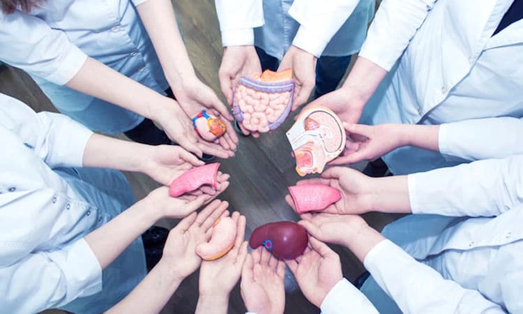 Organ Donation: ಅಂಗಾಂಗಕ್ಕೆ ಕಾಯ್ತಿದ್ದಾರೆ 5 ಸಾವಿರಕ್ಕೂ ಹೆಚ್ಚು ಜನ!