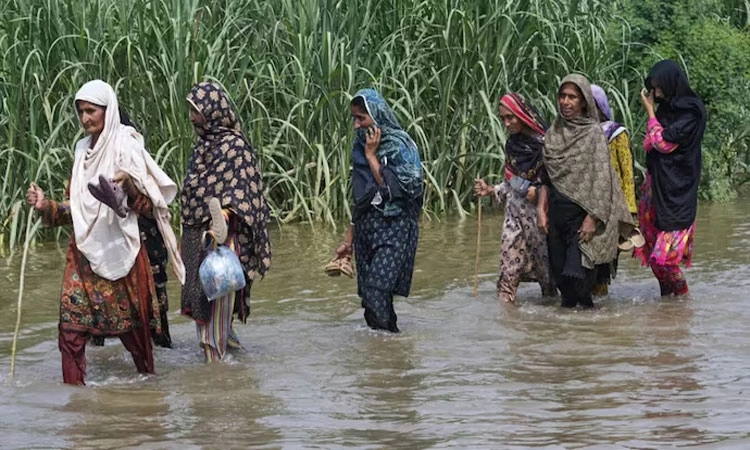 ಮಾನವೀಯತೆ; ಸಟ್ಲೆಜ್ ನದಿಯಲ್ಲಿ ಪ್ರವಾಹ; ಪಾಕಿಸ್ಥಾನಕ್ಕೆ ಮುನ್ನೆಚ್ಚರಿಕೆ ಕಳುಹಿಸಿದ ಭಾರತ