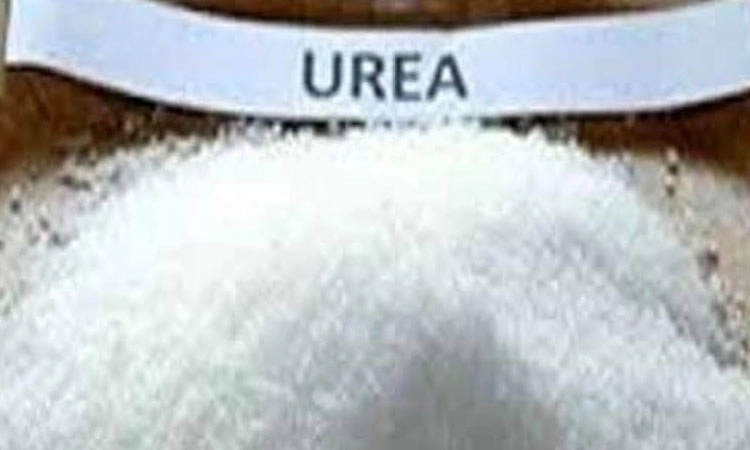 ಹುಬ್ಬಳ್ಳಿ: ಗೊಬ್ಬರಕ್ಕೆ ಶಾಲೆ ಬಿಟ್ಟು ಸರತಿಯಲ್ಲಿ ನಿಂತ ಮಕ್ಕಳು