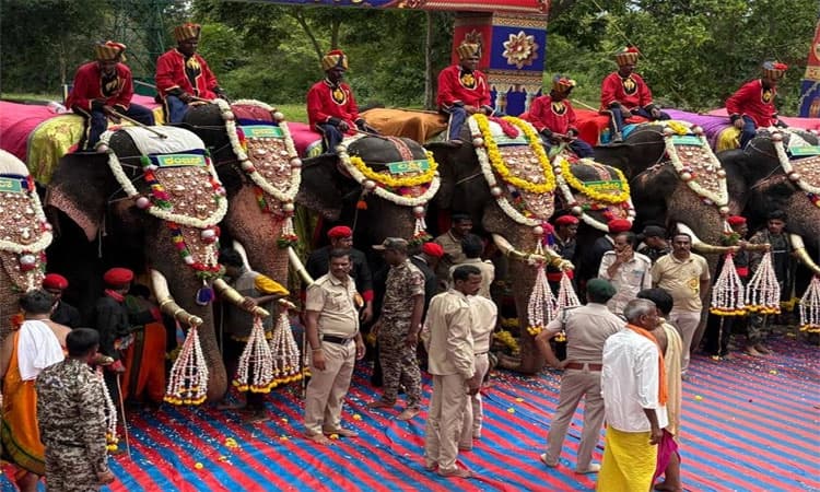 ಮೈಸೂರು ದಸರಾ; ನಾಳೆ ಅರಮನೆಯಲ್ಲಿ ಗಜ ಪಡೆಗೆ  ಸ್ವಾಗತ: ನಾಡಿದ್ದು ತೂಕ ಪರೀಕ್ಷೆ