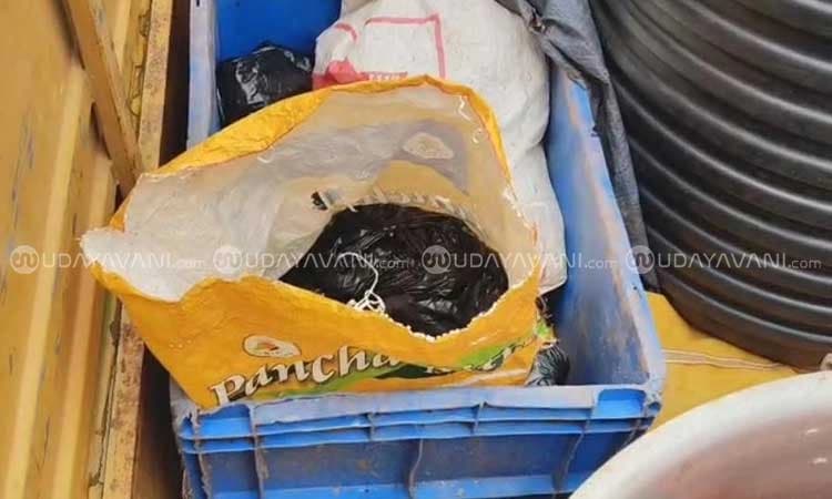 Honnavar: ಕಾಡುಹಂದಿ ಮಾಂಸ ಸಾಗಾಟ ಮಾಡುತ್ತಿದ್ದವರನ್ನು ಬೆನ್ನಟ್ಟಿದ ಅಧಿಕಾರಿಗಳು