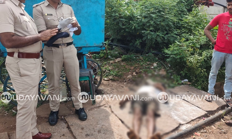 Shivamogga: ಅಪರಿಚಿತ ವ್ಯಕ್ತಿಯ ಶವ ಪತ್ತೆ, ಆರೋಗ್ಯ ಹದಗೆಟ್ಟು ಸಾವನ್ನಪ್ಪಿರುವ ಶಂಕೆ
