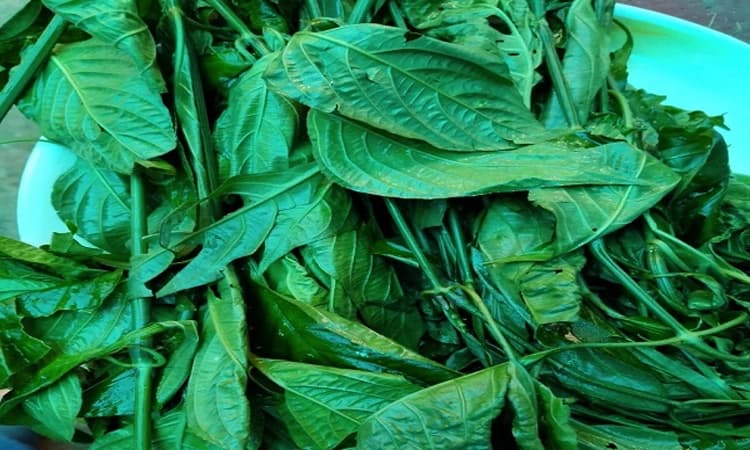 Recipe:ಆಟಿಯ 18ನೇ ದಿನಕ್ಕೆ 18 ಔಷಧ ಶಕ್ತಿಯ ಆಟಿ ಪಾಯಸ - ಆಟಿ ಪಾಯಸದ ವಿಶೇಷತೆ ಏನು