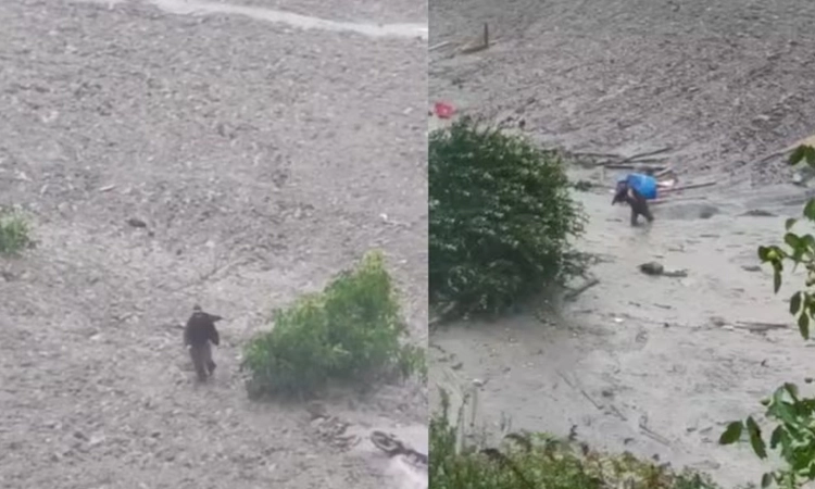 Video: ಉತ್ತರಕಾಶಿ ಮೇಘಸ್ಪೋಟದ ಪ್ರವಾಹದ ನಡುವೆ ಕೆಸರಿನಿಂದ ತೆವಳುತ್ತಾ ಹೊರಬಂದ ವ್ಯಕ್ತಿ