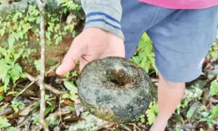 Hosanagara: ಕಗ್ಗೋಡಿ ಬ್ಯಾಣದಲ್ಲಿ 6 ಸಾವಿರ ವರ್ಷ ಪುರಾತನ ಕಲ್ಲಿನುಂಗುರ ಪತ್ತೆ