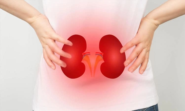 Kidney Failure: ಮೂತ್ರಪಿಂಡ ವೈಫ‌ಲ್ಯ; ಉಪಯುಕ್ತ ಸಲಹೆಗಳು