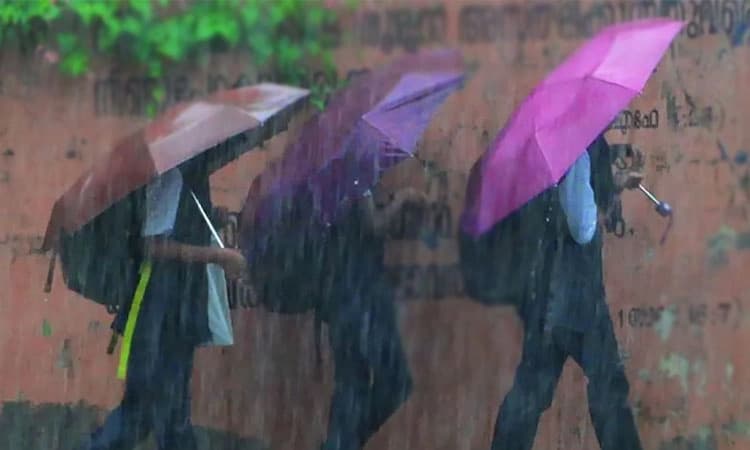 ಕಾಸರಗೋಡು: ಆ.6 ರಂದು ಶಾಲಾ ಕಾಲೇಜುಗಳಿಗೆ ರಜೆ; ರೆಡ್‌ ಅಲರ್ಟ್‌ ಘೋಷಣೆ