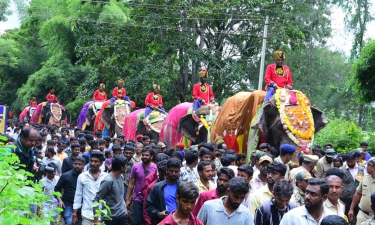 Mysuru Dasara: ಮೈಸೂರಿನತ್ತ ಹೊರಟ ದಸರಾ ಆನೆಗಳು: ಇಲ್ಲಿದೆ ಮೊದಲ ತಂಡದ ಆನೆಗಳ ವಿವರ