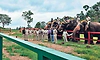 ಕುಶಾಲನಗರ: ಹಾರಂಗಿ ಟ್ರೀ ಪಾರ್ಕ್, ಸಾಕಾನೆ ಶಿಬಿರದಲ್ಲಿ ಪ್ರದರ್ಶನ ಪುನರಾರಂಭ
