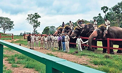 ಕುಶಾಲನಗರ: ಹಾರಂಗಿ ಟ್ರೀ ಪಾರ್ಕ್, ಸಾಕಾನೆ ಶಿಬಿರದಲ್ಲಿ ಪ್ರದರ್ಶನ ಪುನರಾರಂಭ