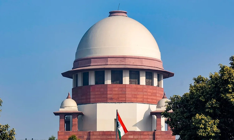 Wife's career ambition not cruelty or desertion: SC