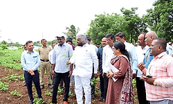 ಮಳೆ ಕೊರತೆಯಿಂದ ಹಾನಿಗೊಳಗಾದ ಬೆಳೆಗಳ ಪರಿಶೀಲನೆ