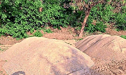 Thekkatte: ಅಕ್ರಮ ಮರಳು ಅಡ್ಡೆಗೆ ದಾಳಿ ; 22 ಮಂದಿ ವಿರುದ್ಧ ಪ್ರಕರಣ