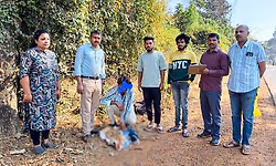 Anandapura: ಜಿಂಕೆ ಚರ್ಮ ಮಾರಾಟಕ್ಕೆ ಯತ್ನ, ಓರ್ವನ ಬಂಧನ