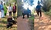 Hunsur: ನಗರಕ್ಕೆ ಸಮೀಪದಲ್ಲೇ ಹುಲಿ ಓಡಾಟ, ಭಯಭೀತರಾಗಿರುವ ಜನರು