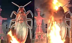 ದೆಹಲಿಯಲ್ಲಿ 30 ಅಡಿ ಜಿರಳೆ ಪ್ರತಿಕೃತಿಯೂ ದಹನ