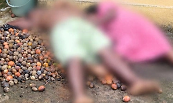ಮೂಡುಬಿದಿರೆ: ವಿದ್ಯುತ್ ಶಾಕ್ ಗೆ ತಾಯಿ-ಮಗ ಬಲಿ