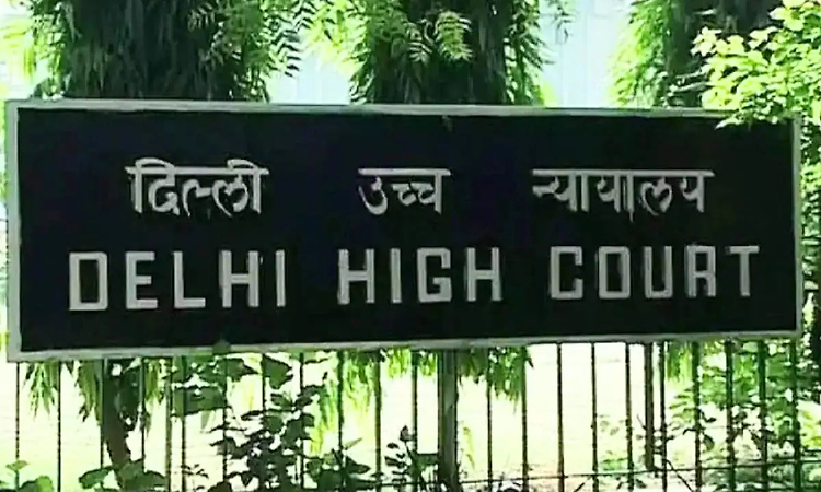 Casteist remarks case: Delhi High Court refuses interim relief to woman journalist, seeks police reply