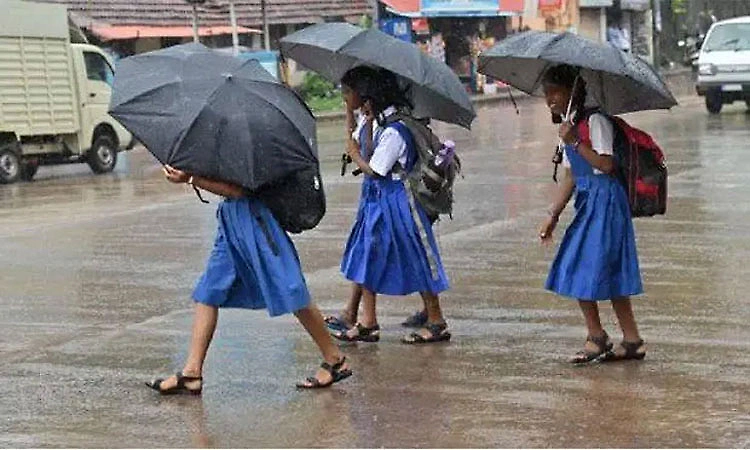 Heavy rain: Holiday declared for schools and colleges in Thirthahalli and Sagar taluk on Monday (Aug 03)