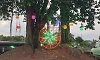 107-year-old banyan tree's birthday celebrated; novel step towards environmental awareness