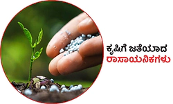 Chemicals: ಕೃಷಿಗೆ ಜತೆಯಾದ ರಾಸಾಯನಿಕಗಳು